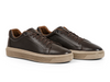 Anatomic & Co Madeiro - pair of Brown laced leather sneaker with beige sole on white background.