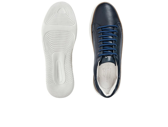 Anatomic & Co Reduto 242401 - Navy top view