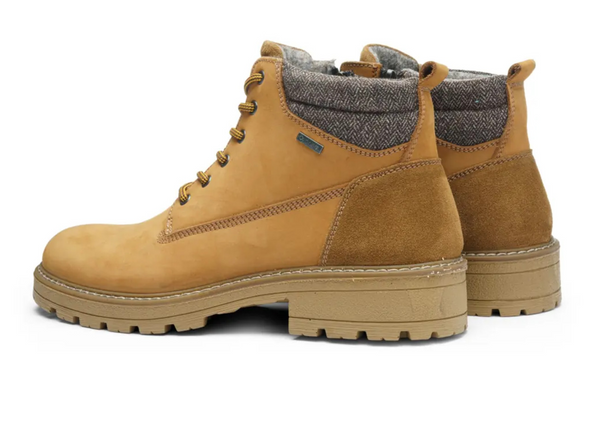 Ara 11-23654-19 Frederik - Cognac laced boot with textured grey collar on a white background. 