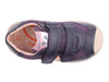 Biomecanics 241110-D783 - Plum top view
