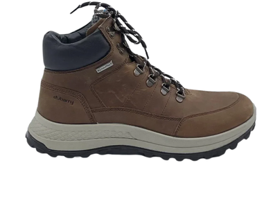 Dubarry Alaska 5888-07 - Tan