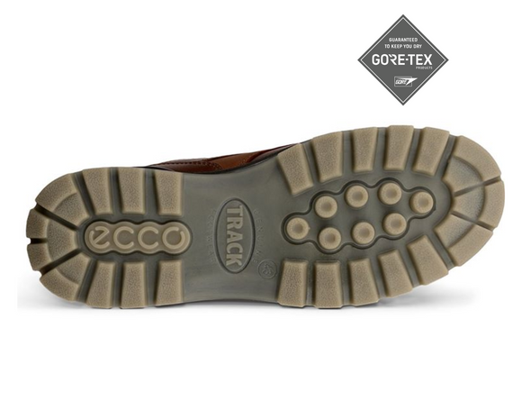 Ecco Track GTX 25 831714-53010 - on a white background with a Gore-Tex sticker sole view