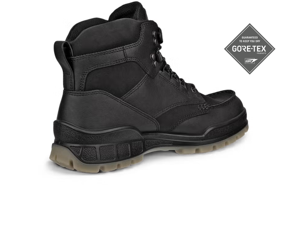 Ecco Track 25 GTX 831704  51052 - Black back view