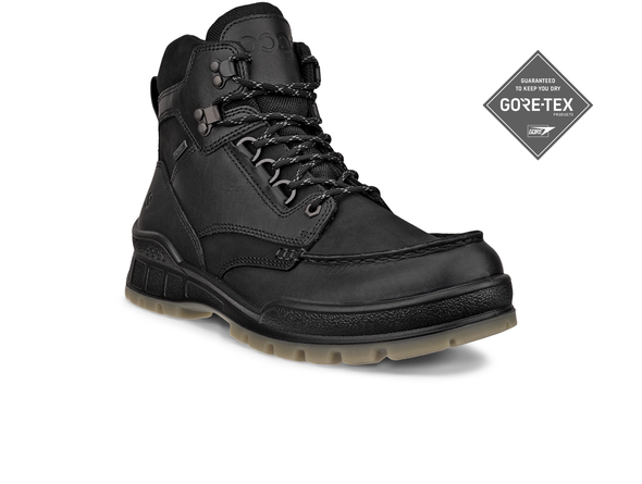 Ecco Track 25 GTX 831704  51052 - Black upper view