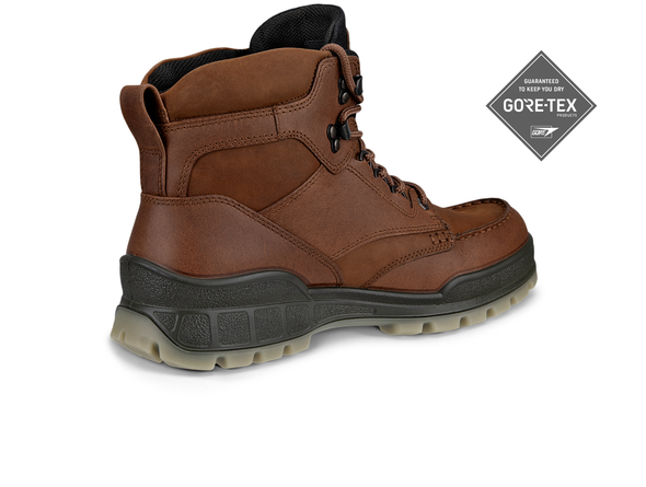 Ecco Track 25 GTX 831704 52600 - Brown back view