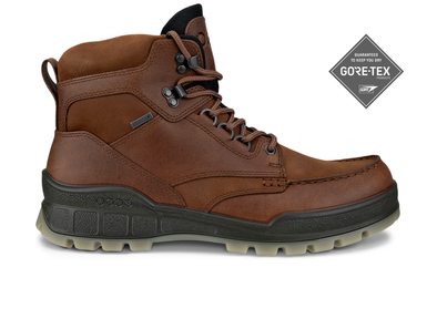 Ecco Track 25 GTX 831704 52600 - Brown outer view