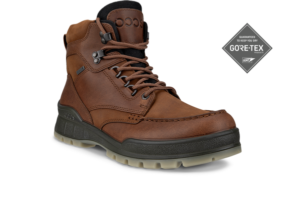 Ecco Track 25 GTX 831704 52600 - Brown upper view