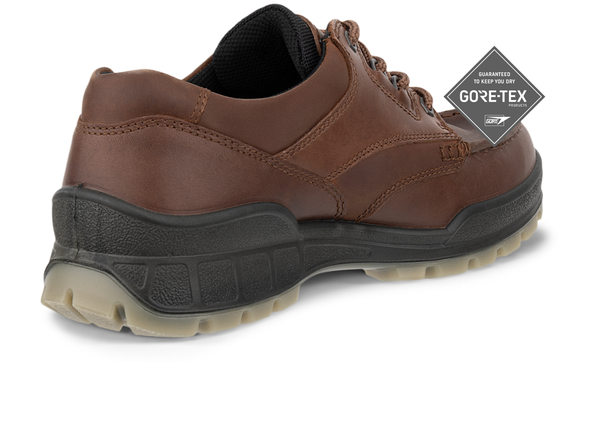 Ecco Track 25 GTX 831714-52600 - Brown back view
