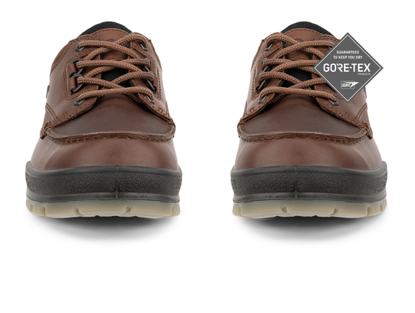 Ecco Track 25 GTX 831714-52600 - Brown front view