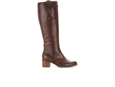 Gabor 71.889.21 - Brown knee high boot with a block heel, low, on a white background 