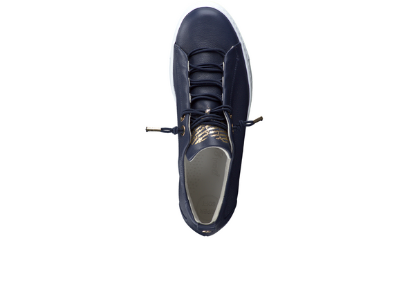 Paul  Green Super Soft 5017-018 - Navy Gold, laced on white background