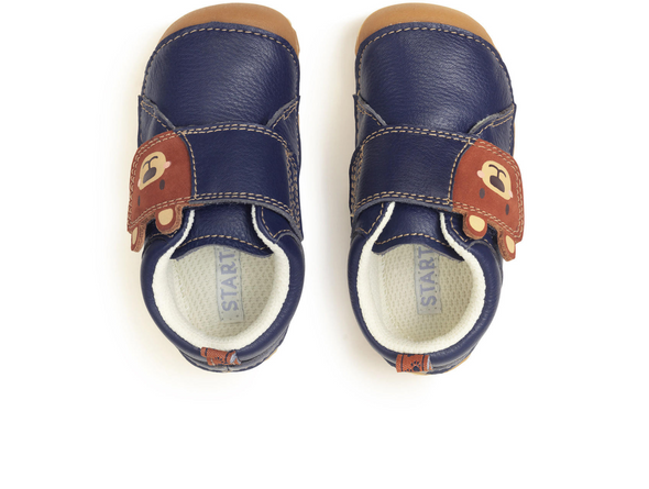 Startrite Bear Hug 0824-9 - pair of Navy kids shoes with Bear face and paw print paw detail, with a wide Velcro strap on white background. 