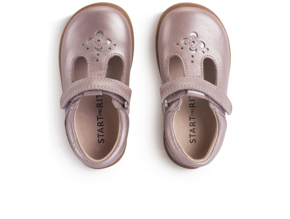 Startrite Eternal 0850-5 - Pearlised Blush t-bar shoe, punched floral design, top view onwhite background