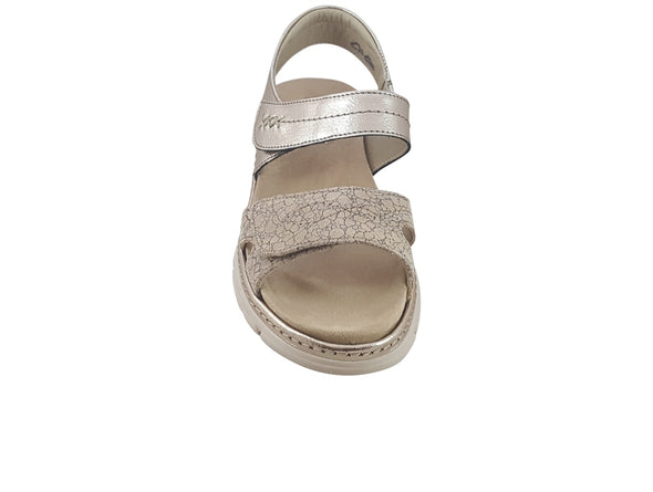 Suave Manila 6049 54 - Gold front view