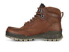 Ecco Gore-Tex Track 25 M 831704  in Brown front view